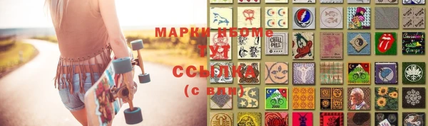 PSILOCYBIN Каменногорск