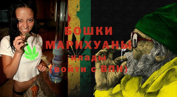 PSILOCYBIN Каменногорск