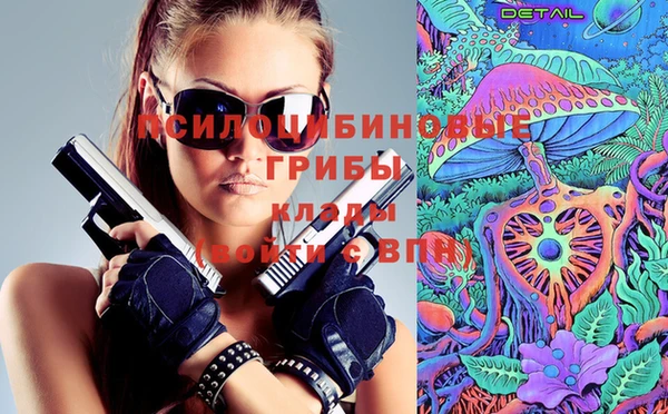 PSILOCYBIN Каменногорск