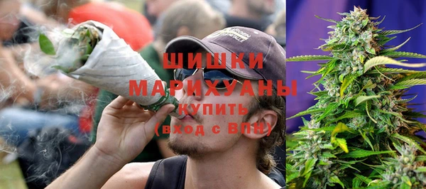 PSILOCYBIN Каменногорск