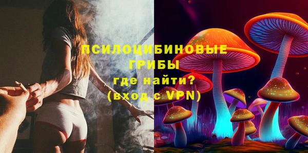 стаф Карпинск