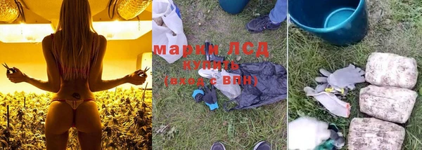 PSILOCYBIN Каменногорск