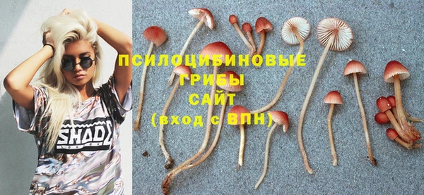 тгк Каменск-Шахтинский