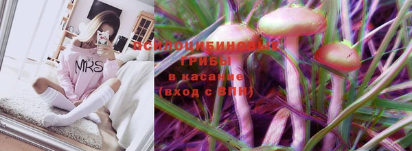 тгк Каменск-Шахтинский