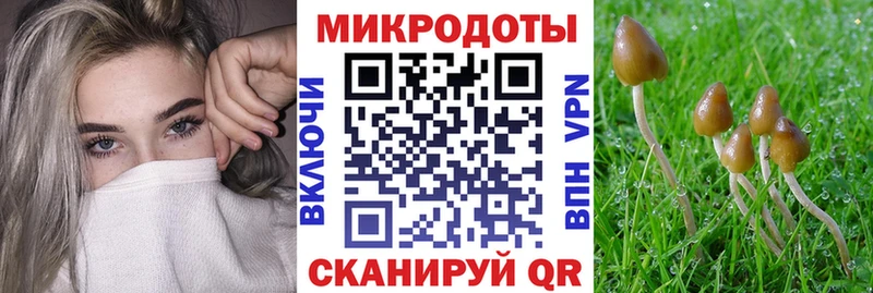 Галлюциногенные грибы GOLDEN TEACHER Камызяк