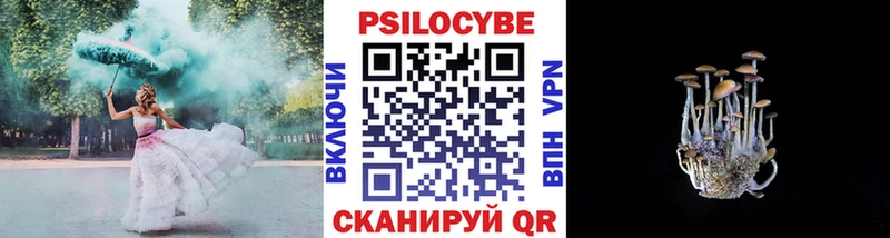 Купить где  Камызяк  Псилоцибиновые грибы мухоморы 